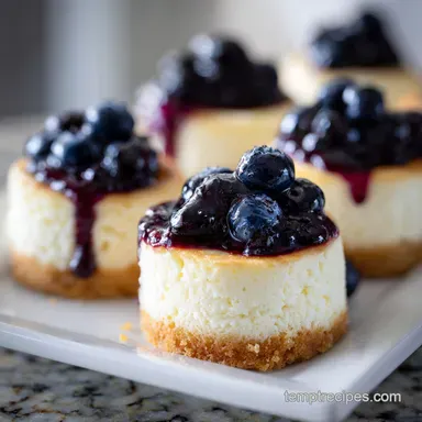 Mini Lemon Blueberry Cheesecakes with Blueberries Recipe Card